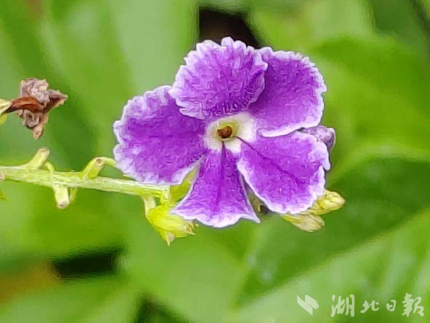 888集团SL电子游戏网址